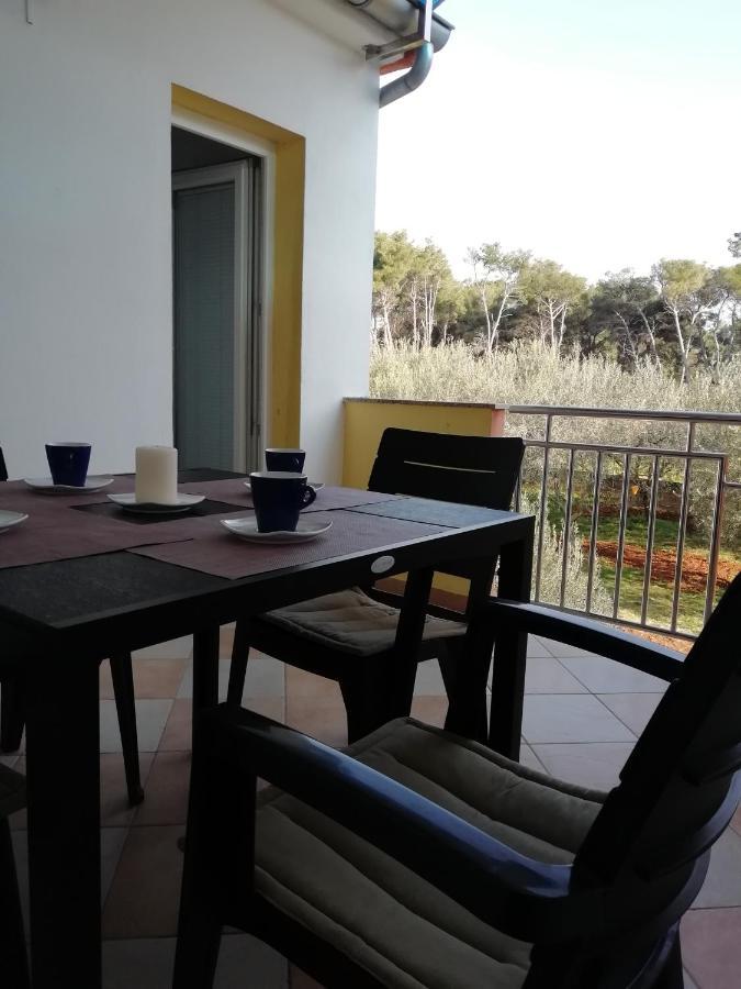 ביבינייה Apartman Ines מראה חיצוני תמונה